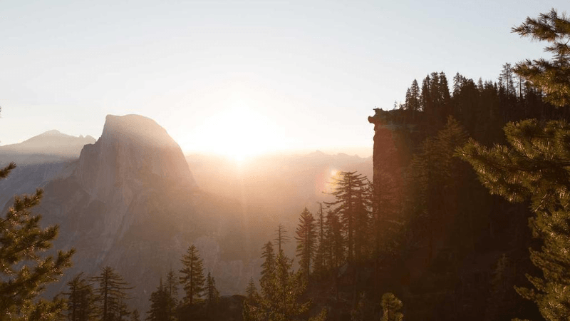Carving - professional stock photography