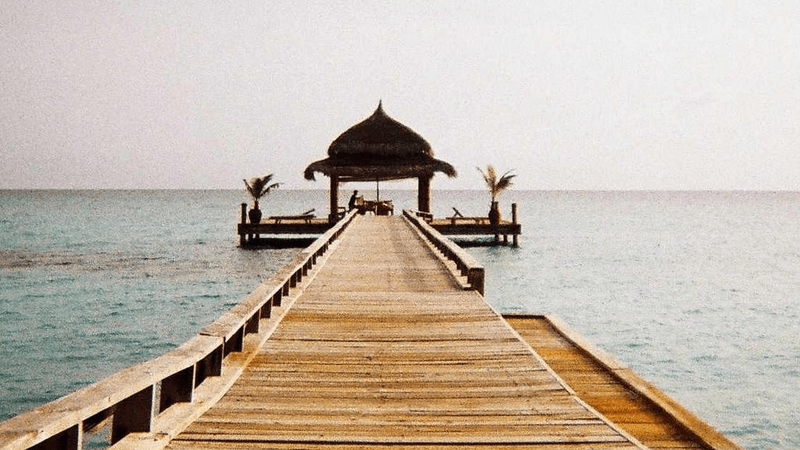 Glue - professional stock photography